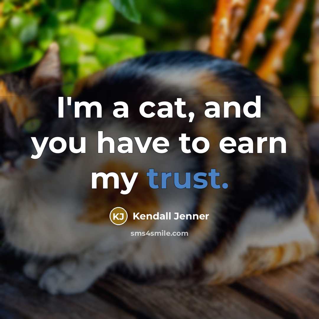 “I'm a cat, and you have to earn my trust.…” quote by Kendall Jenner