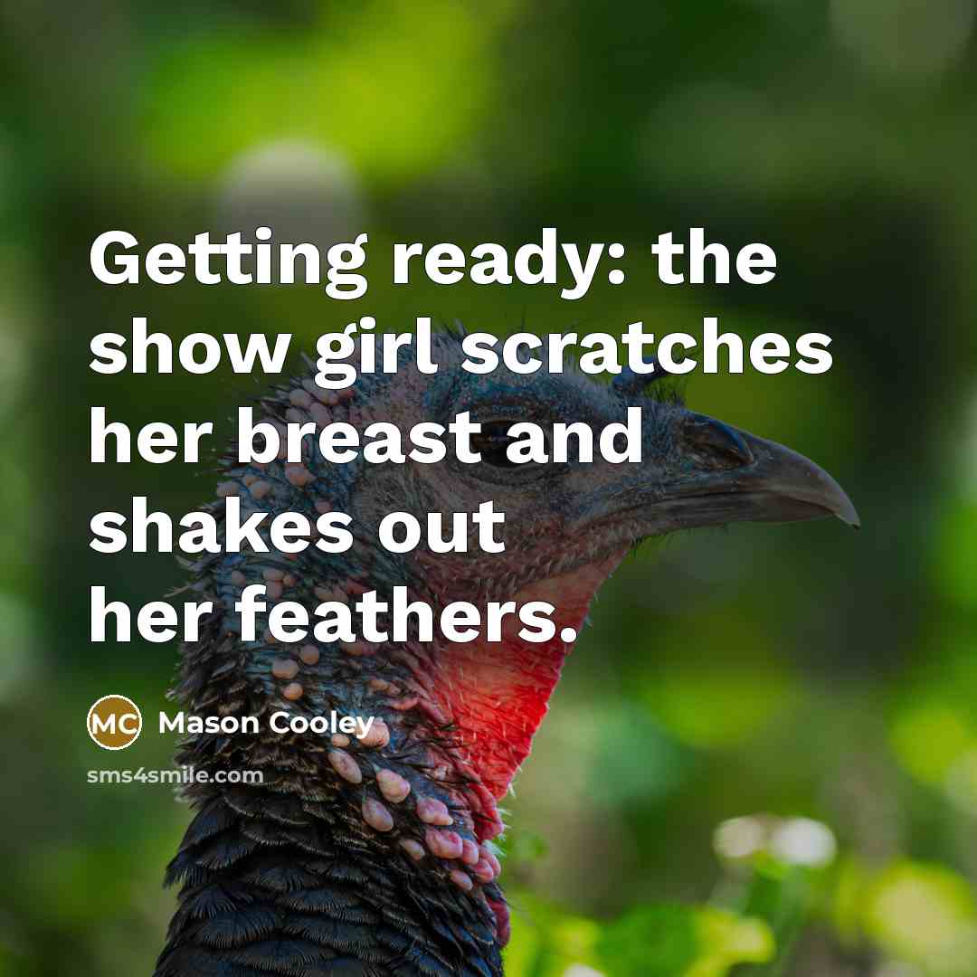 “Getting ready: the show girl scratches her breast and shakes…” quote by Mason Cooley