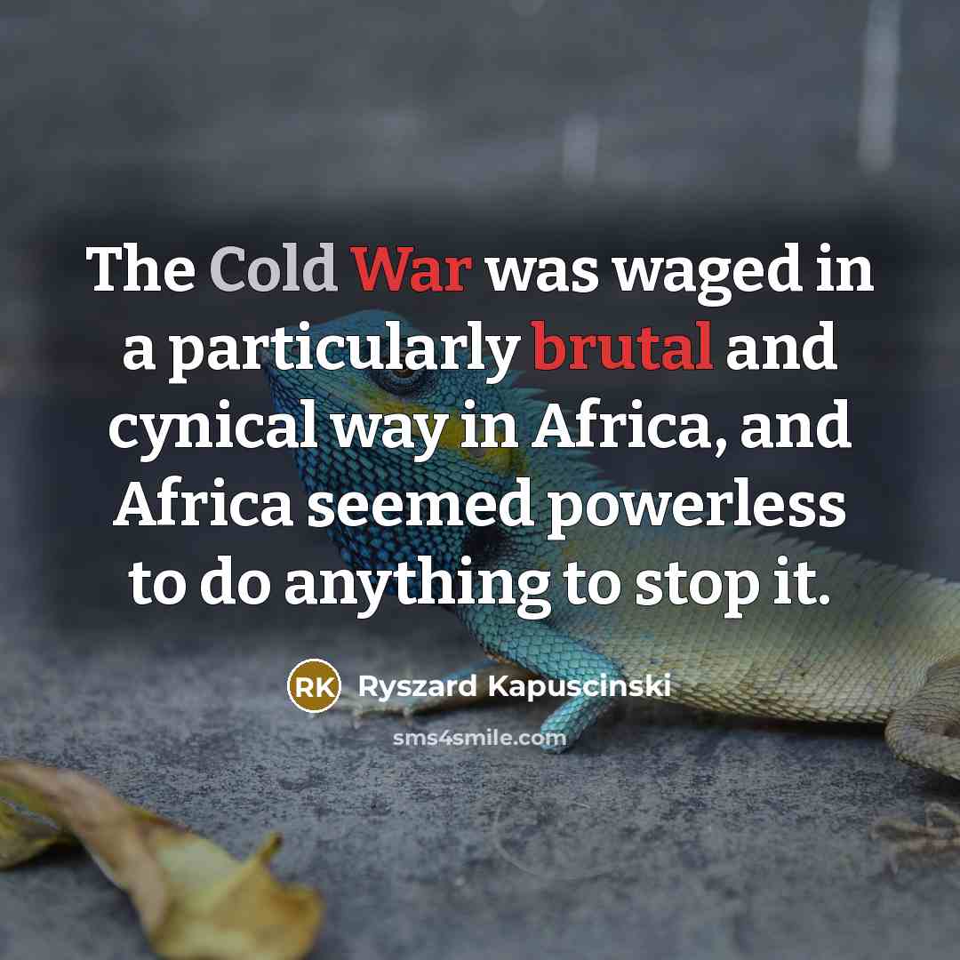 “The Cold War was waged in a particularly brutal and cynical way in Africa, and Africa seemed powerless to do anything to stop it.” quote by Ryszard Kapuscinski
