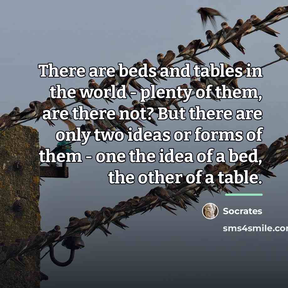 “There are beds and tables in the world - plenty…” quote by Socrates