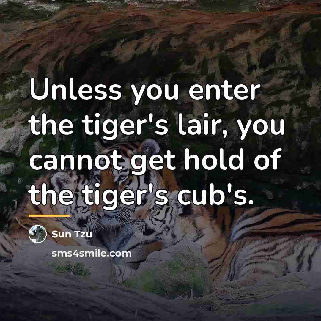 “Unless you enter the tiger's lair, you cannot get hold…” quote by Sun Tzu