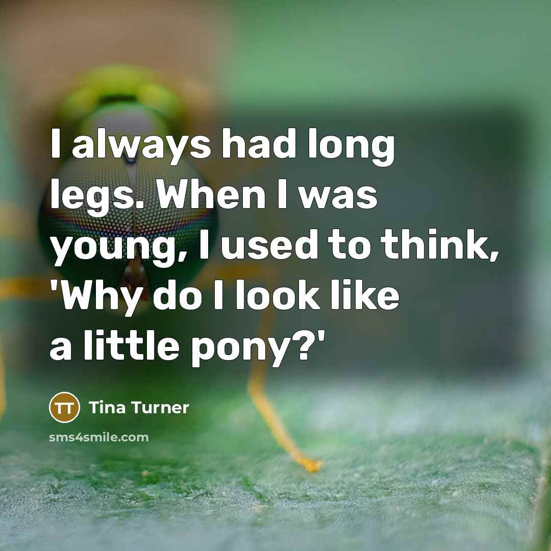 “I always had long legs. When I was young, I…” quote by Tina Turner