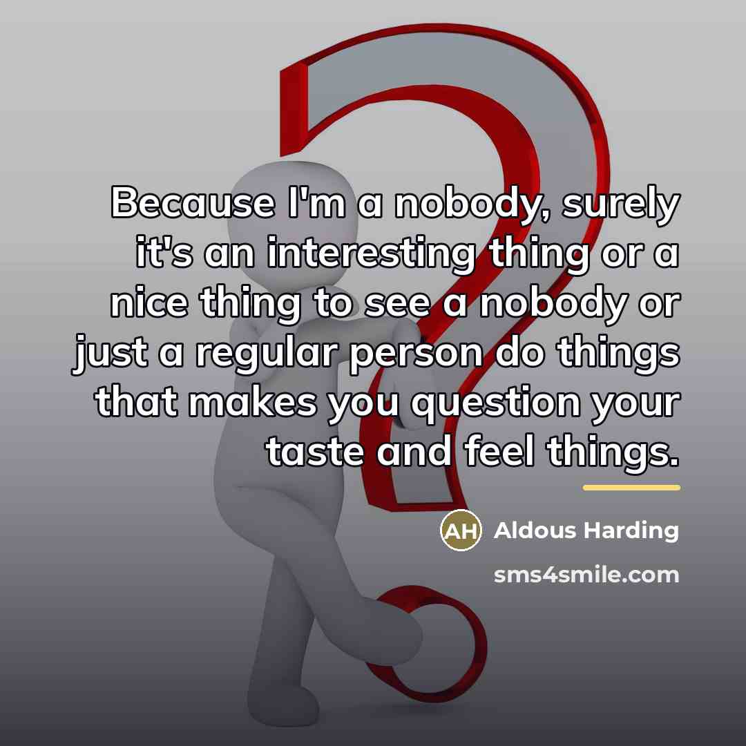 “Because I'm a nobody, surely it's an interesting thing or…” quote by Aldous Harding
