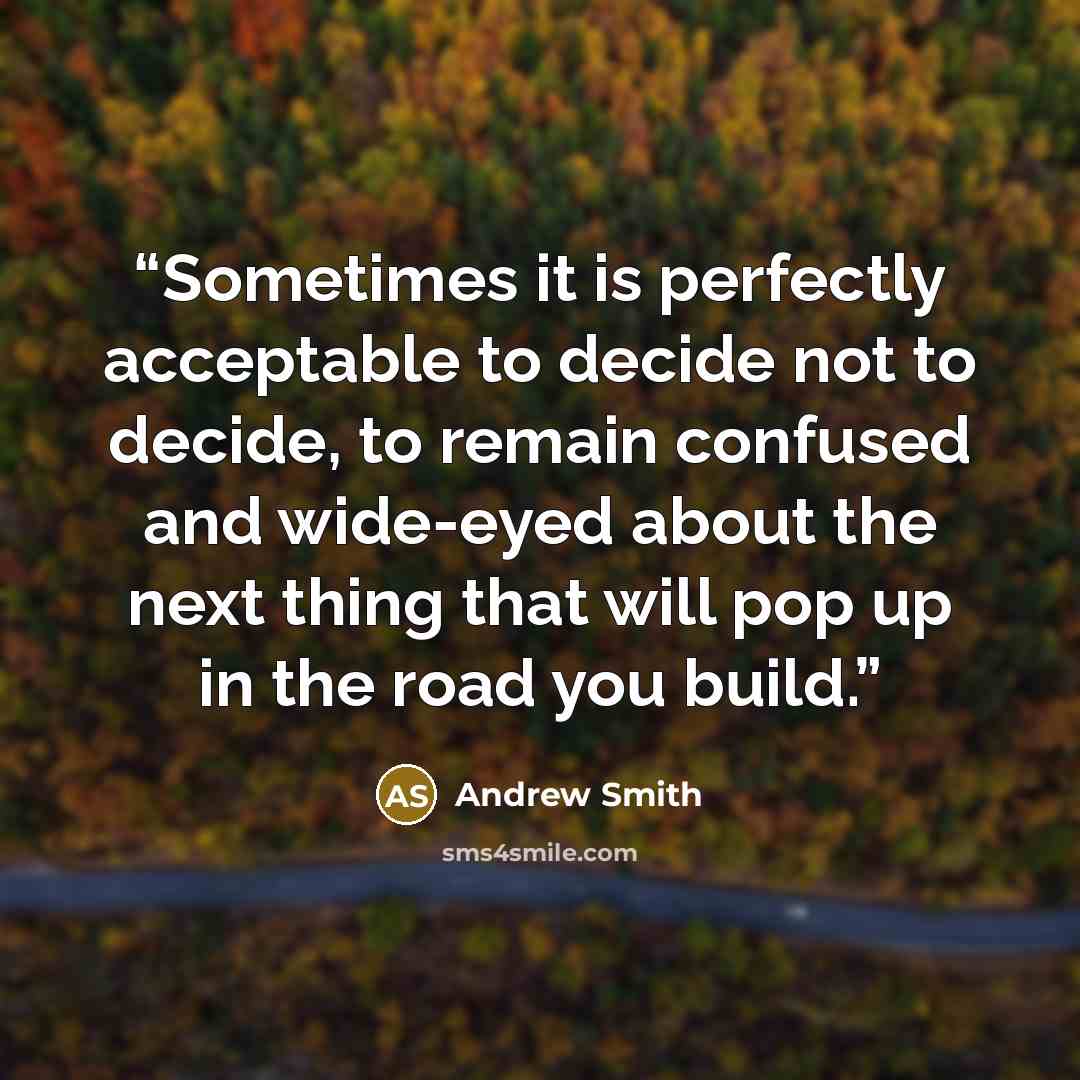 “Sometimes it is perfectly acceptable to decide not to decide, to remain confused and wide-eyed about the next thing that will pop up in the road you build.” quote by Andrew Smith