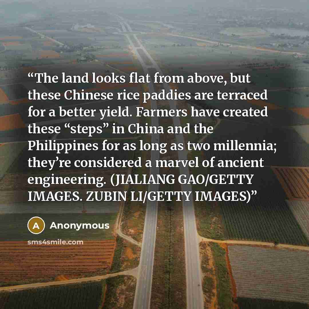 “The land looks flat from above, but these Chinese rice paddies are terraced for a better yield. Farmers have created these “steps” in China and the Philippines for as long as two millennia; they’re considered a marvel of ancient engineering. (JIALIANG GAO/GETTY IMAGES. ZUBIN LI/GETTY IMAGES)” quote by Anonymous