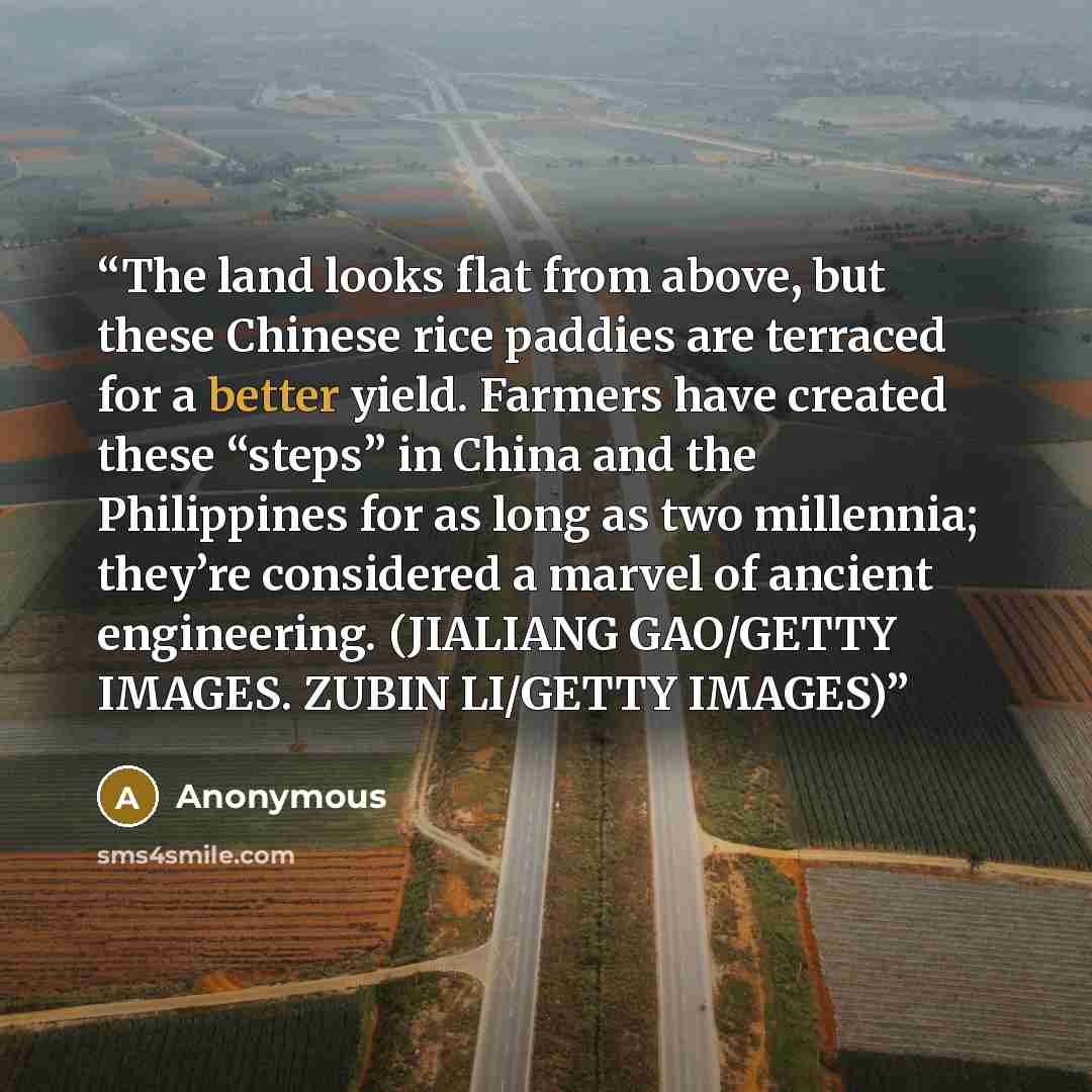 “The land looks flat from above, but these Chinese rice paddies are terraced for a better yield. Farmers have created these “steps” in China and the Philippines for as long as two millennia; they’re considered a marvel of ancient engineering. (JIALIANG GAO/GETTY IMAGES. ZUBIN LI/GETTY IMAGES)” quote by Anonymous