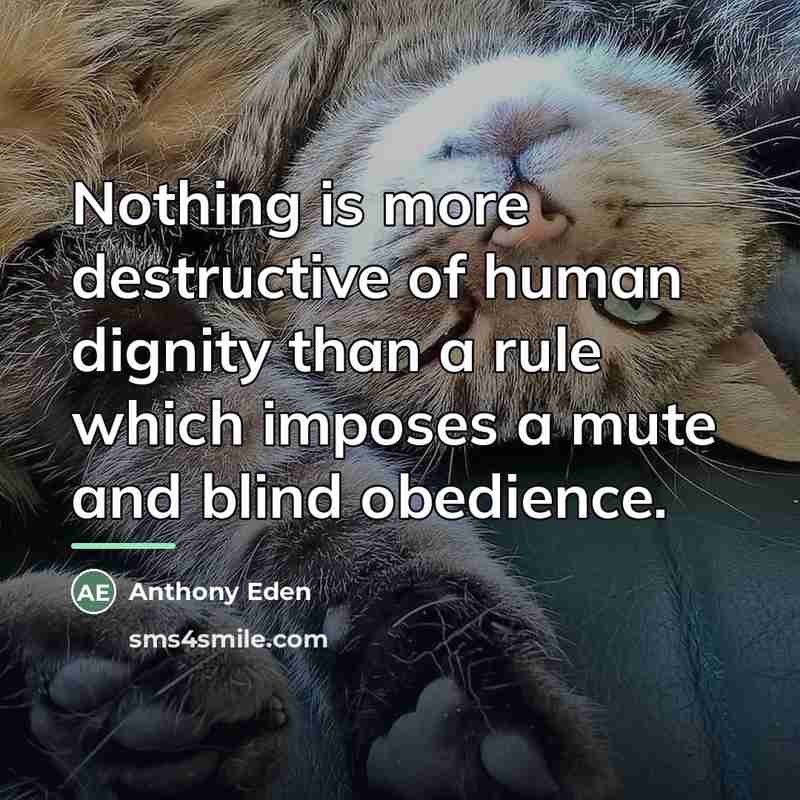 “Nothing is more destructive of human dignity than a rule…” quote by Anthony Eden
