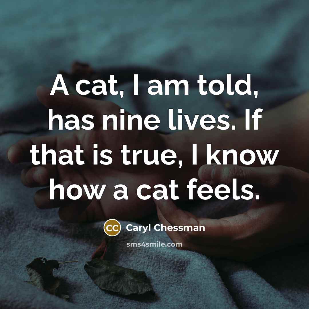 “A cat, I am told, has nine lives. If that…” quote by Caryl Chessman