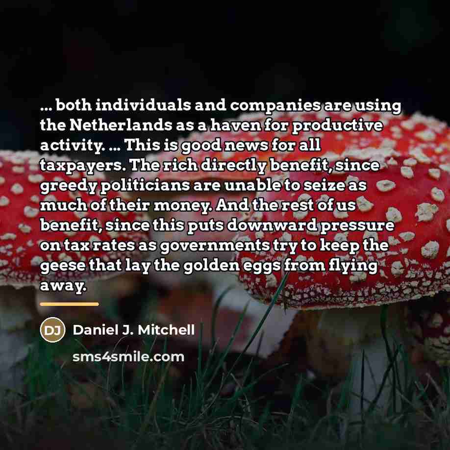 “... both individuals and companies are using the Netherlands as…” quote by Daniel J. Mitchell