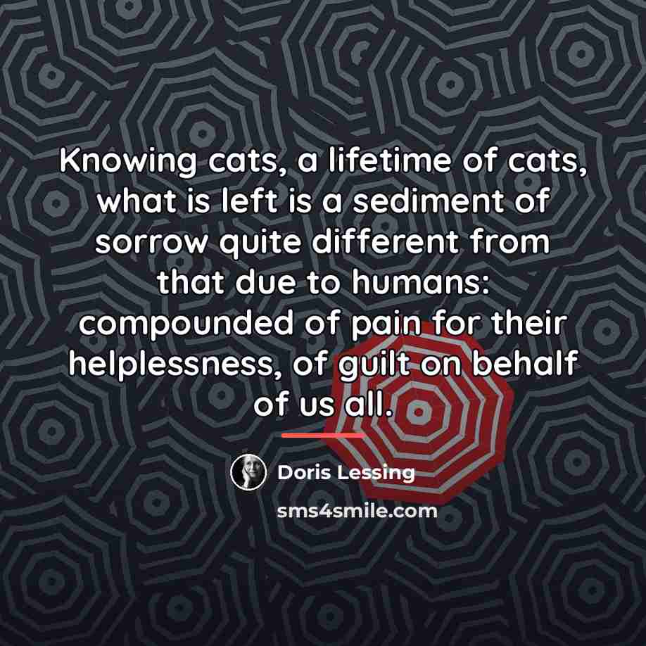 “Knowing cats, a lifetime of cats, what is left is…” quote by Doris Lessing