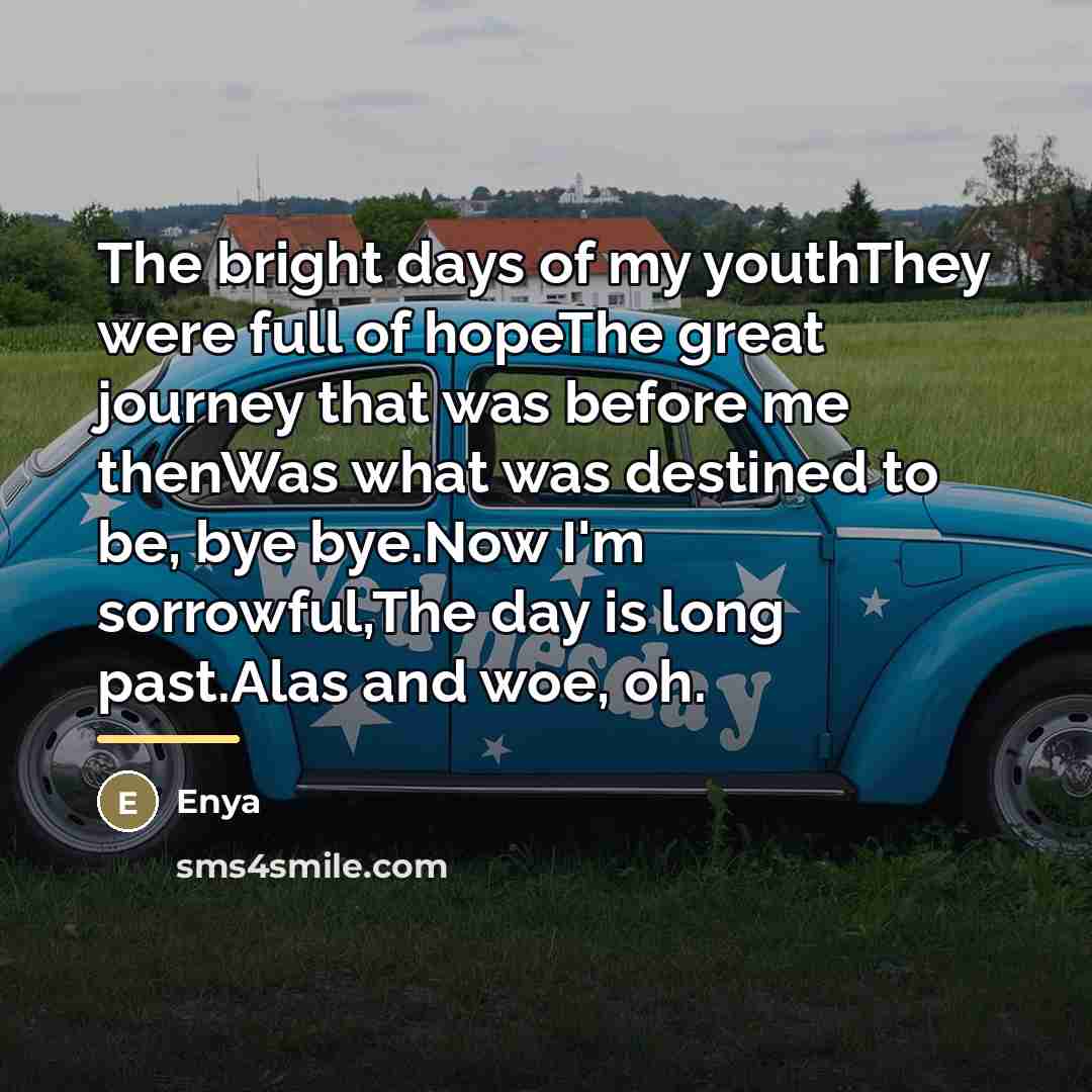 “The bright days of my youthThey were full of hopeThe…” quote by Enya