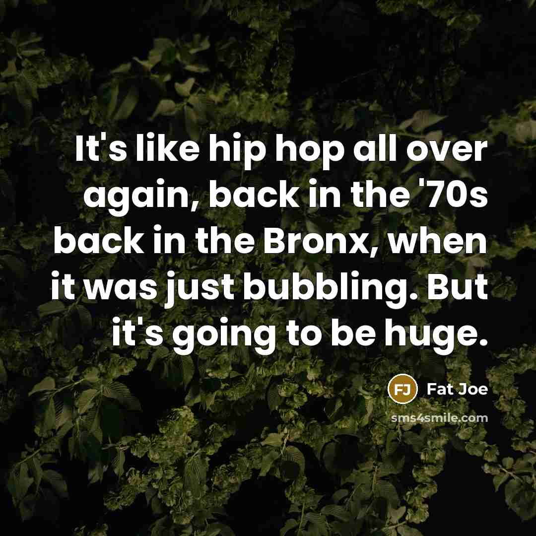“It's like hip hop all over again, back in the…” quote by Fat Joe