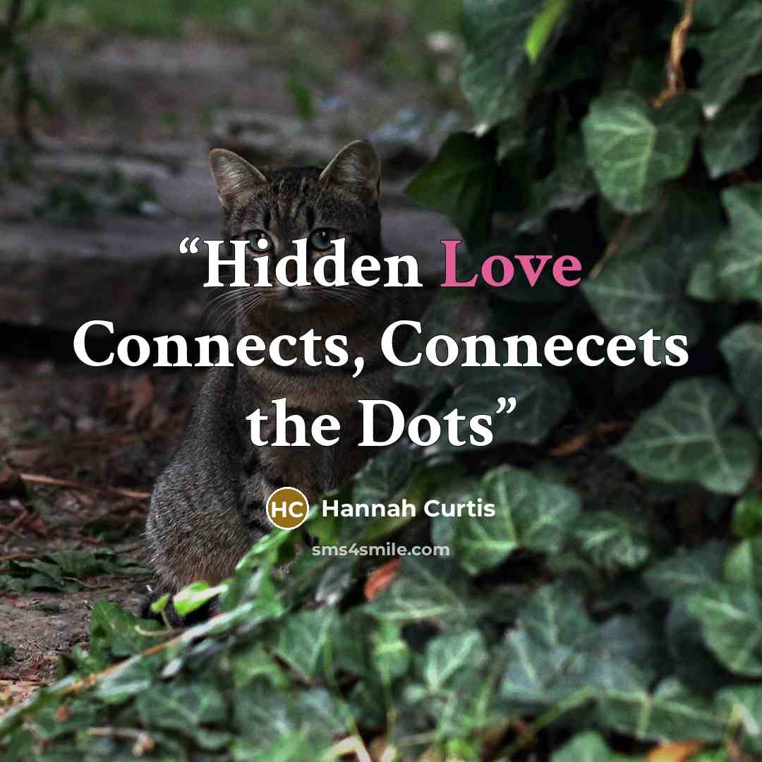 “Hidden Love Connects, Connecets the Dots” quote by Hannah Curtis