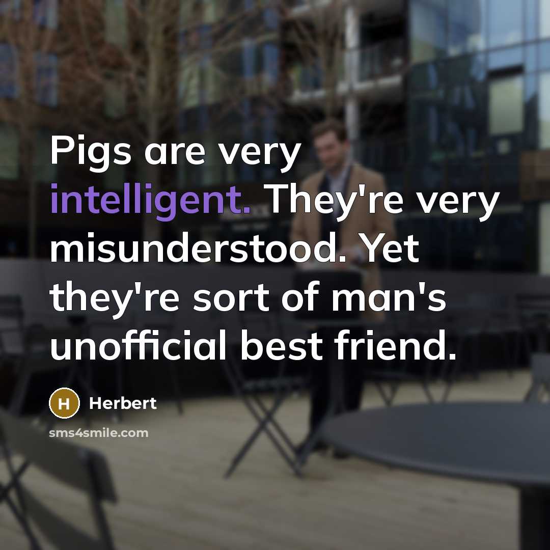 “Pigs are very intelligent. They're very misunderstood. Yet they're sort…” quote by Herbert