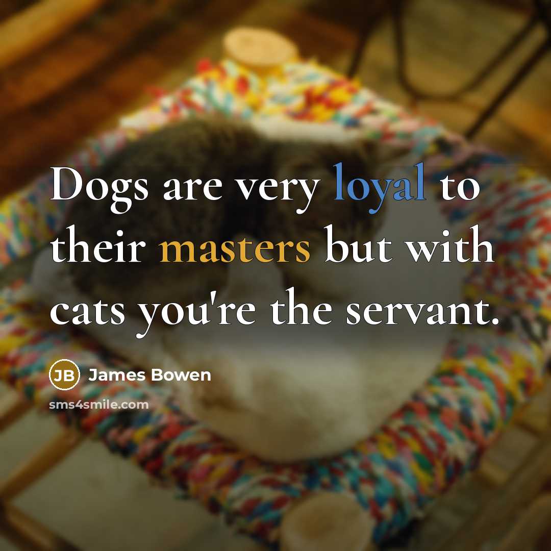“Dogs are very loyal to their masters but with cats…” quote by James Bowen
