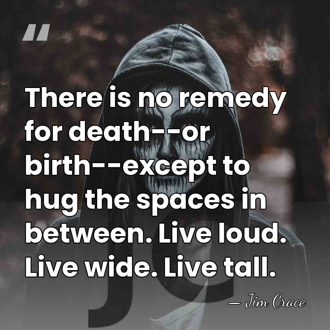 There is no remedy for death--or birth--except to hug the spaces in&hellip; - Jim Crace
