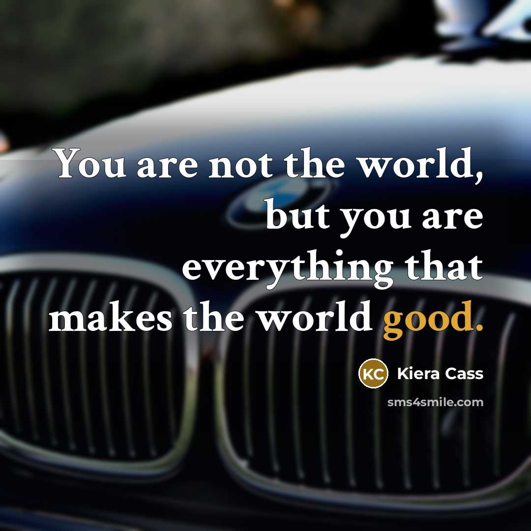 “You are not the world, but you are everything that…” quote by Kiera Cass