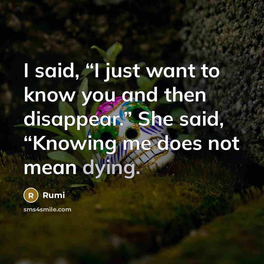 “I said, “I just want to know you and then…” quote by Rumi