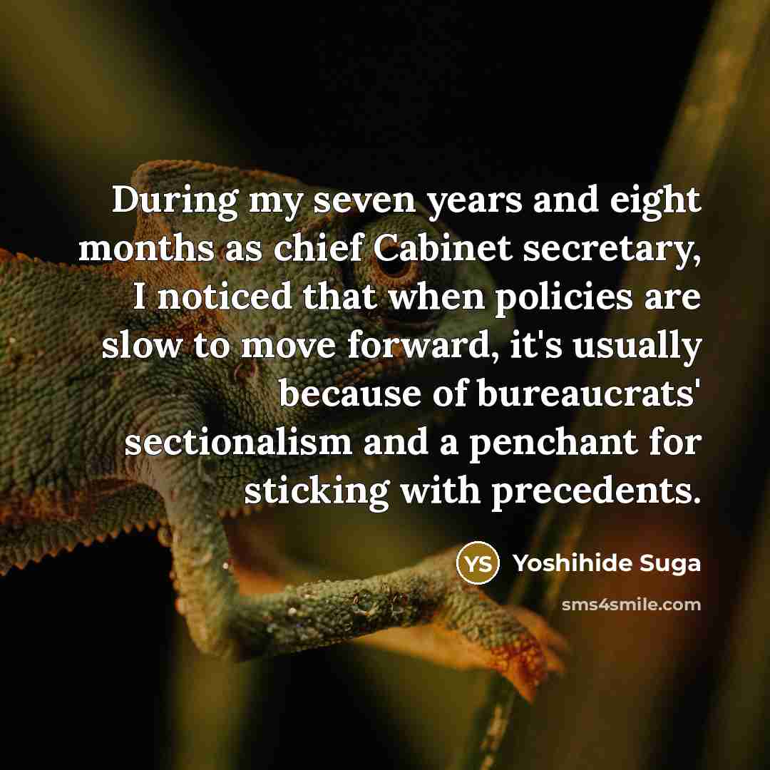 “During my seven years and eight months as chief Cabinet…” quote by Yoshihide Suga