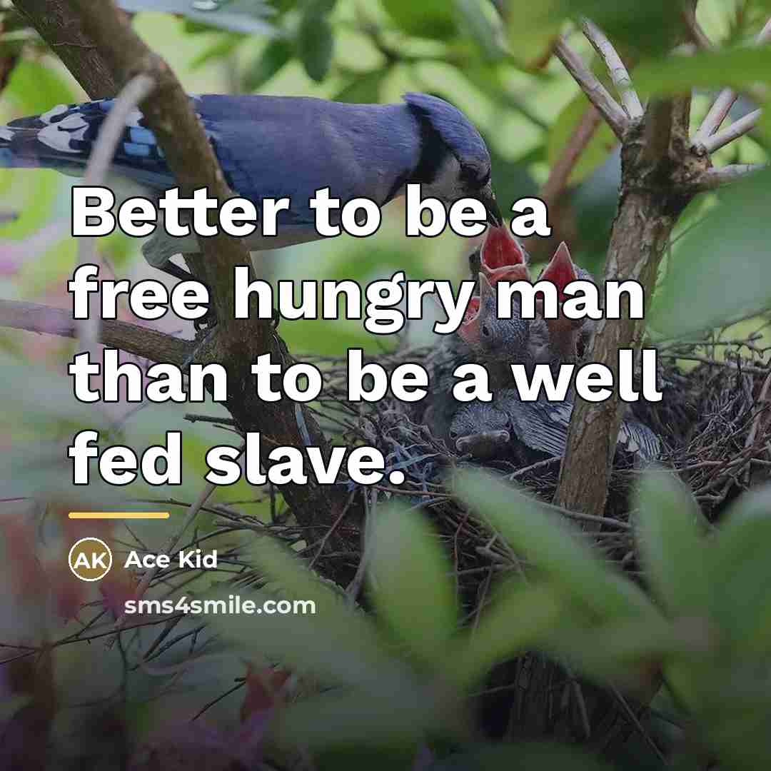 “Better to be a free hungry man than to be…” quote by Ace Kid