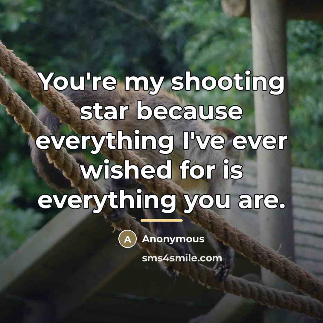 “You're my shooting star because everything I've ever wished for…” quote by Anonymous