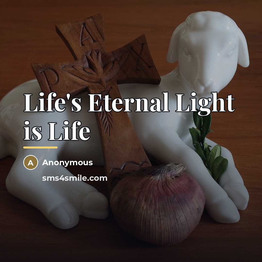 “Life's Eternal Light is Life…” quote by Anonymous