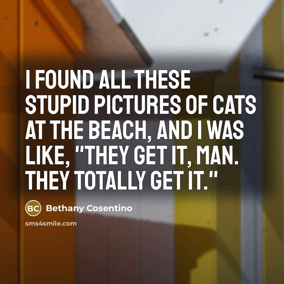 “I found all these stupid pictures of cats at the…” quote by Bethany Cosentino
