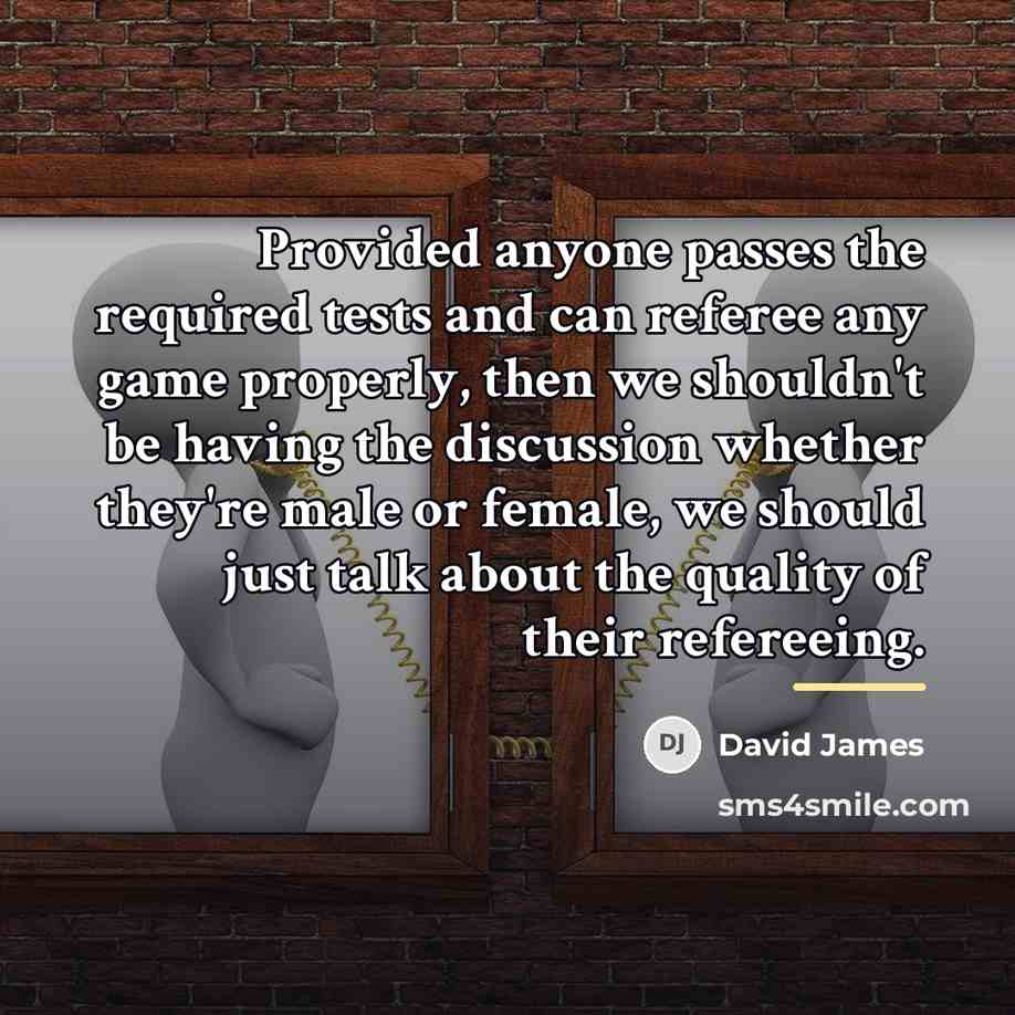 “Provided anyone passes the required tests and can referee any…” quote by David James