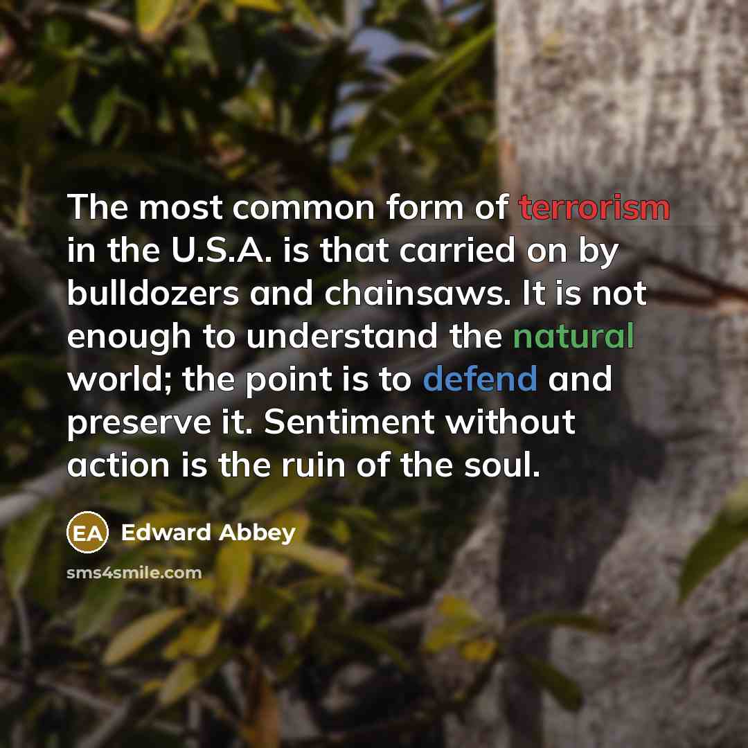 “The most common form of terrorism in the U.S.A. is…” quote by Edward Abbey
