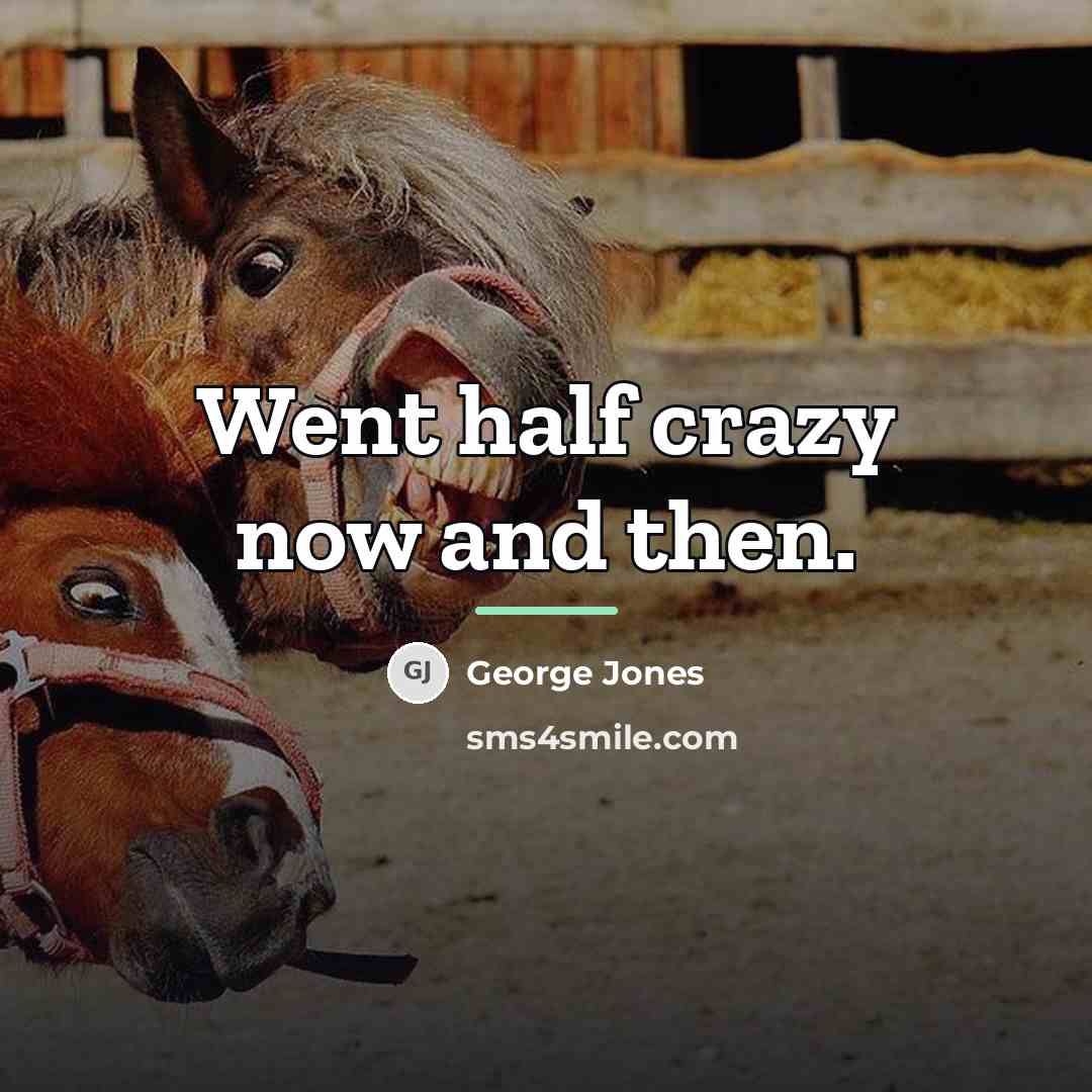 “Went half crazy now and then.…” quote by George Jones