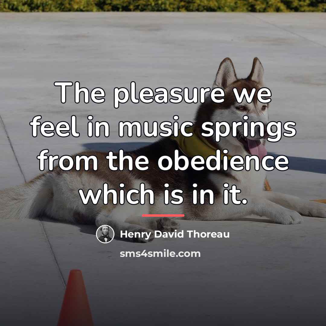 “The pleasure we feel in music springs from the obedience…” quote by Henry David Thoreau
