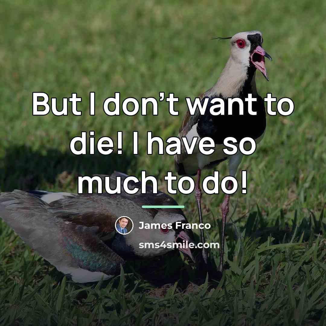 “But I don't want to die! I have so much…” quote by James Franco