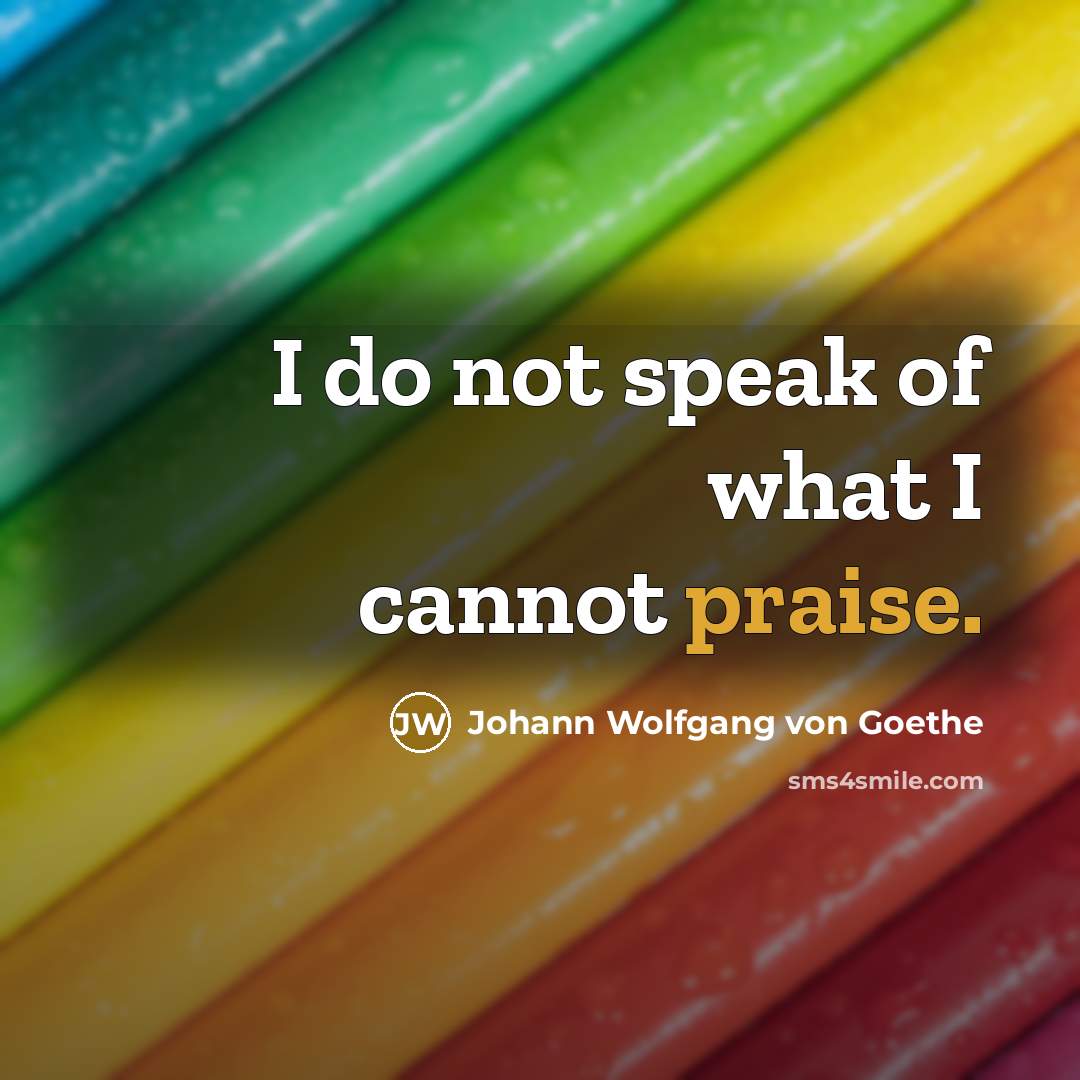 “I do not speak of what I cannot praise.…” quote by Johann Wolfgang von Goethe