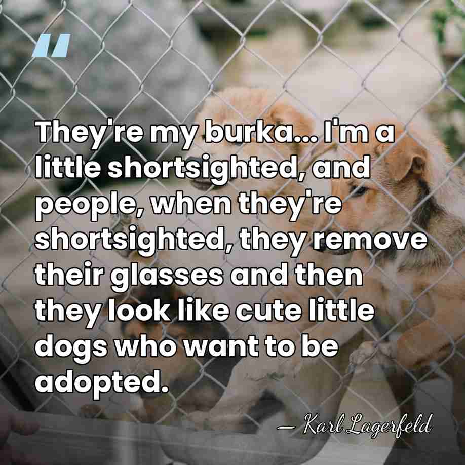 They're my burka... I'm a little shortsighted, and people, when they're shortsighted,&hellip; - Karl Lagerfeld