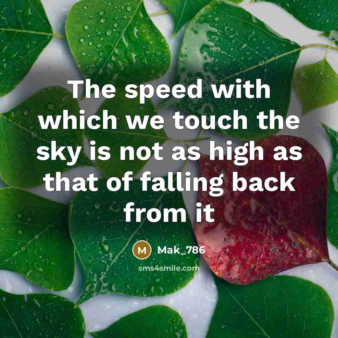 “The speed with which we touch the sky is not…” quote by Mak_786