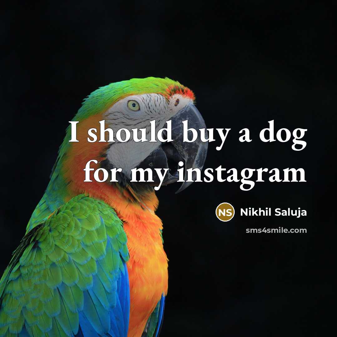 “I should buy a dog for my instagram” quote by Nikhil Saluja