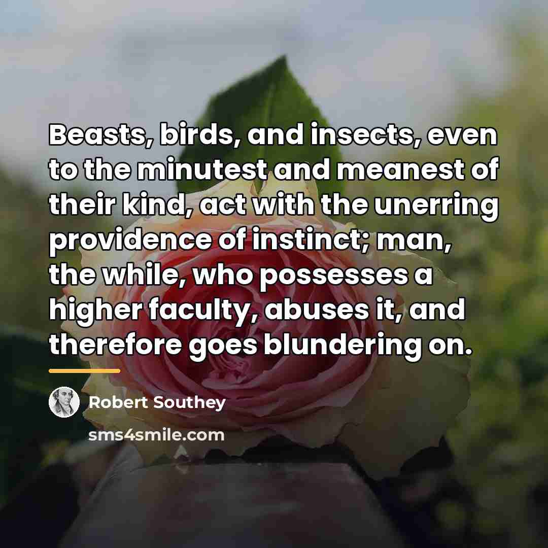 “Beasts, birds, and insects, even to the minutest and meanest…” quote by Robert Southey