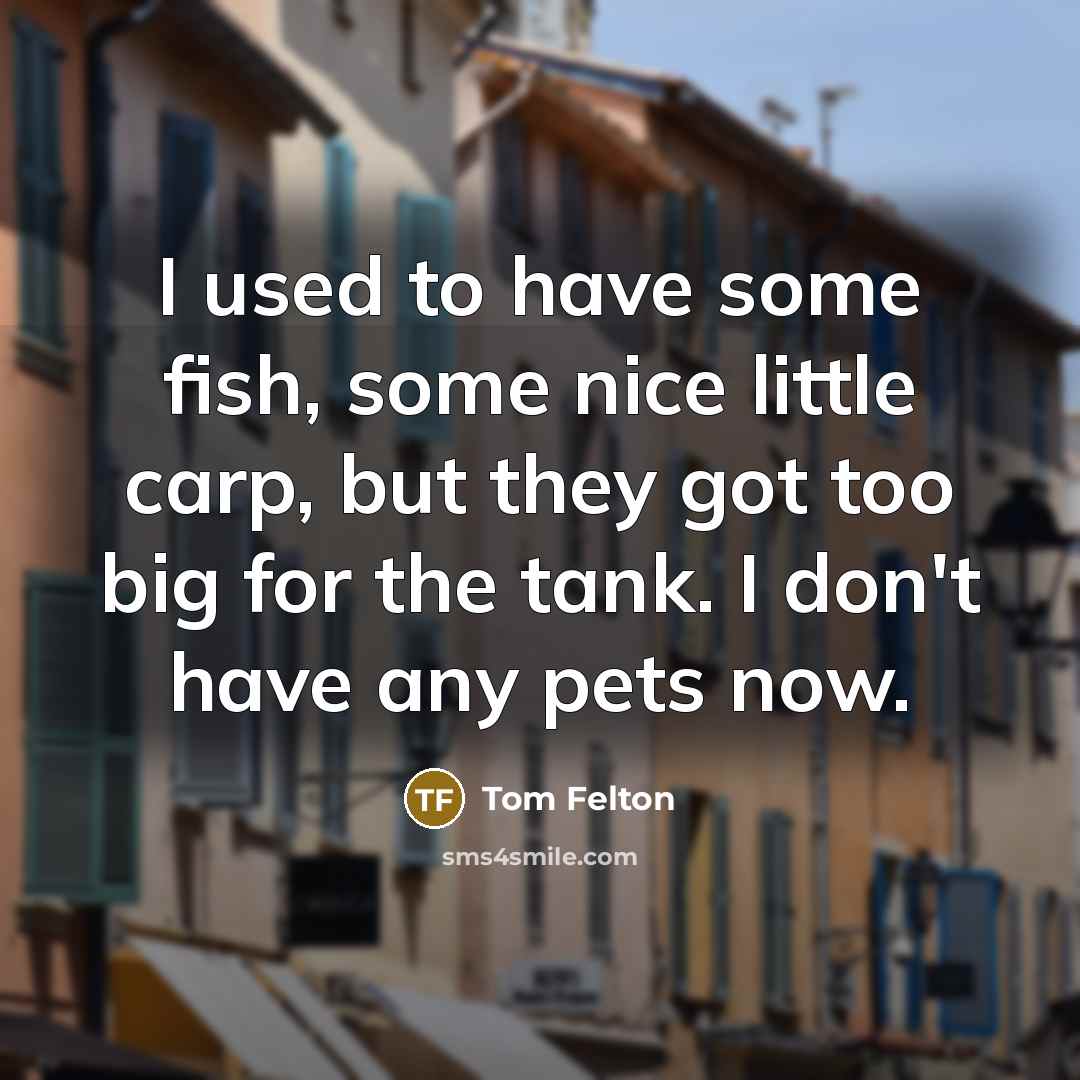 “I used to have some fish, some nice little carp, but they got too big for the tank. I don't have any pets now.” quote by Tom Felton