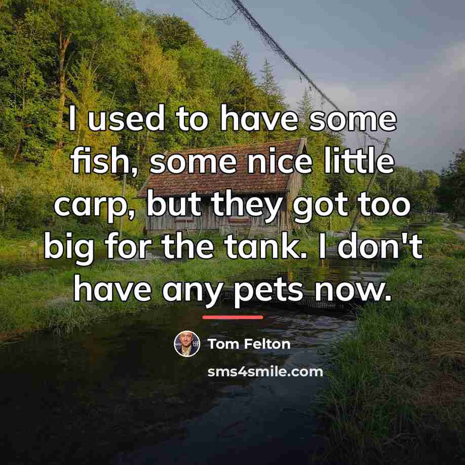 “I used to have some fish, some nice little carp,…” quote by Tom Felton