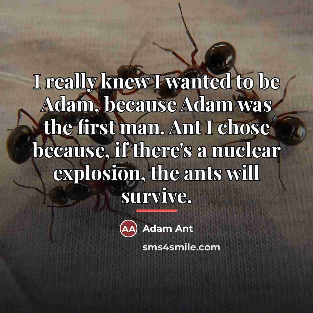 “I really knew I wanted to be Adam, because Adam…” quote by Adam Ant