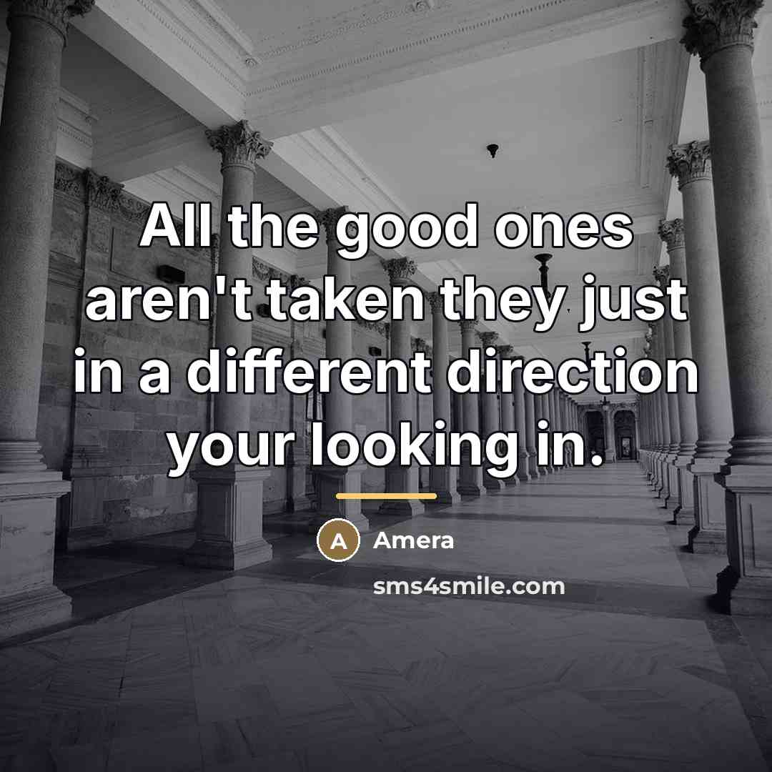 “All the good ones aren't taken they just in a…” quote by Amera