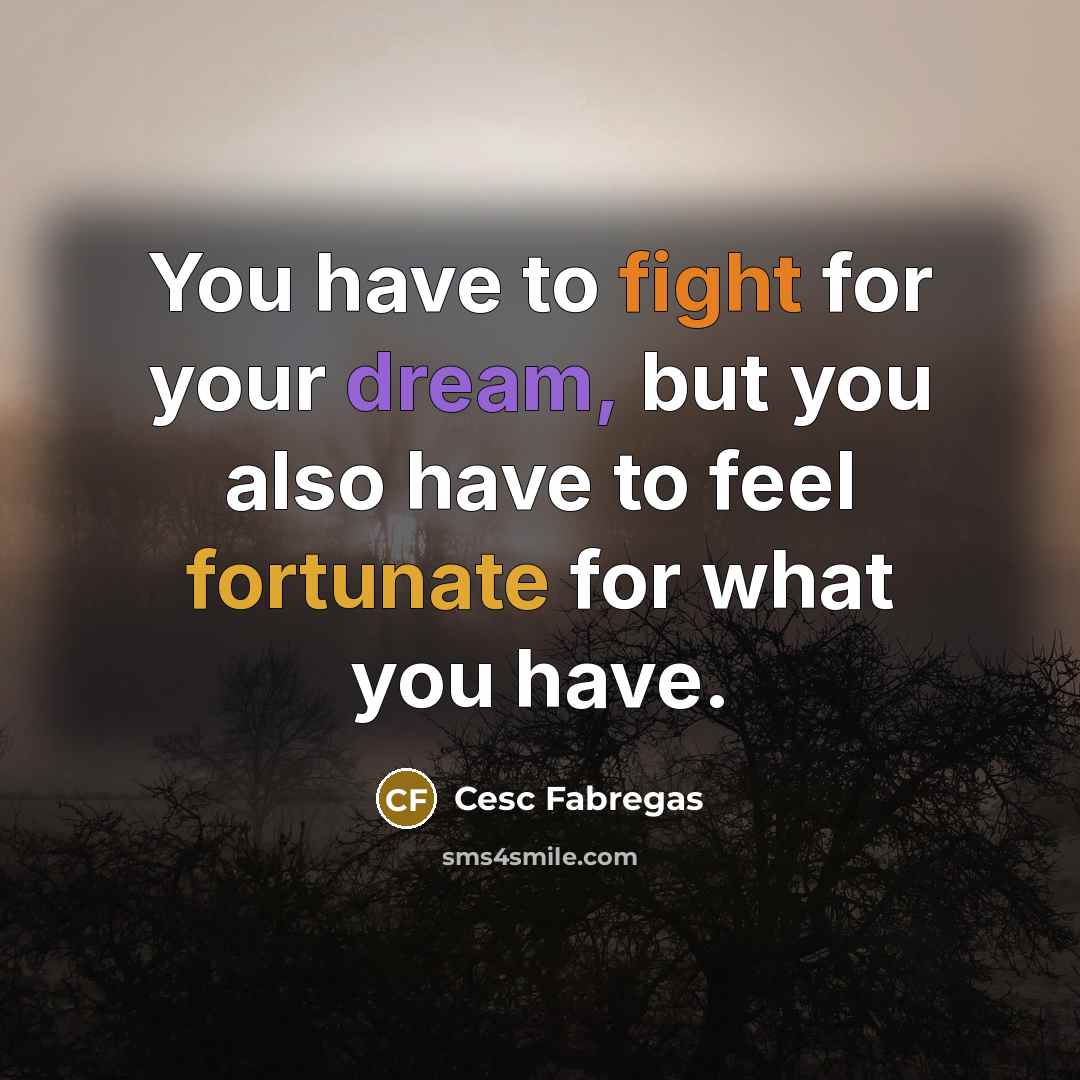 “You have to fight for your dream, but you also…” quote by Cesc Fabregas