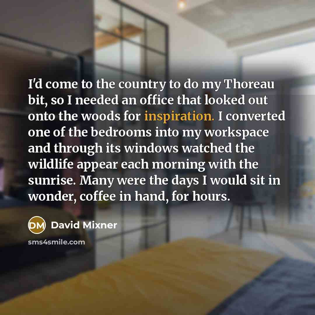 “I'd come to the country to do my Thoreau bit,…” quote by David Mixner
