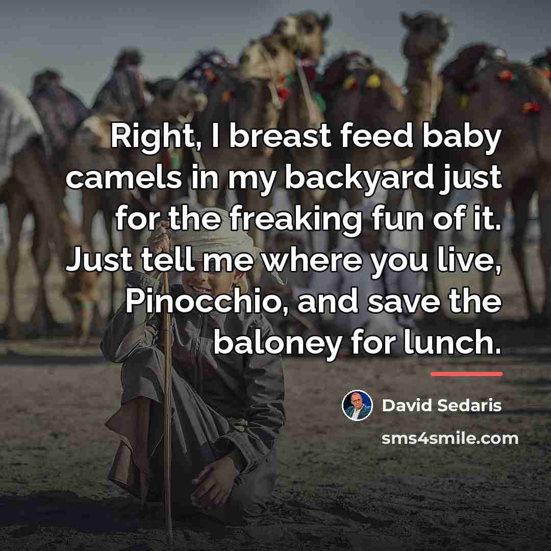 “Right, I breast feed baby camels in my backyard just…” quote by David Sedaris