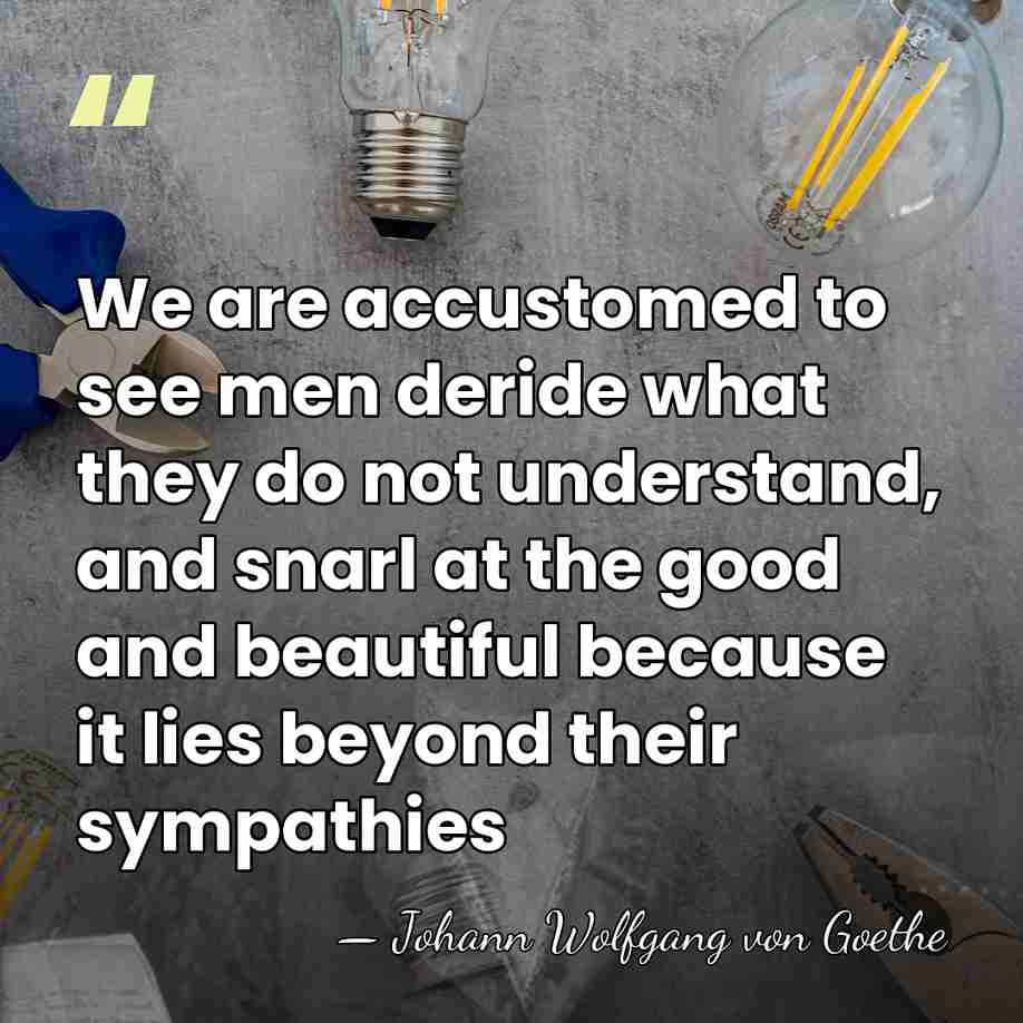 We are accustomed to see men deride what they do not understand,&hellip; - Johann Wolfgang von Goethe