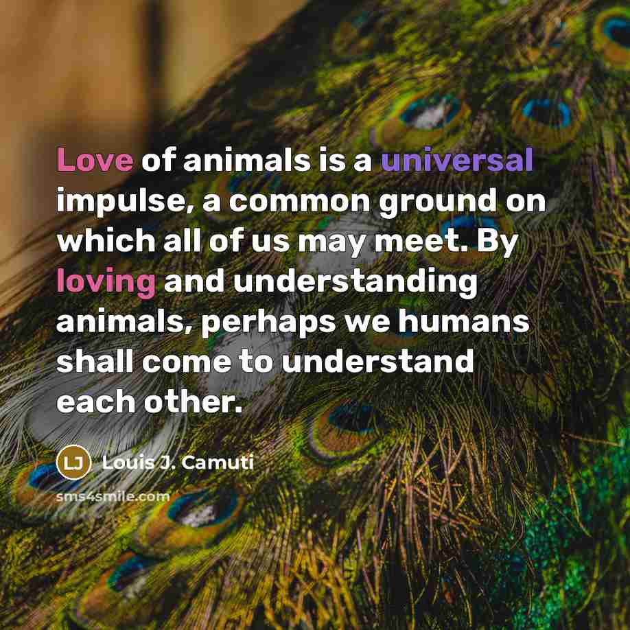“Love of animals is a universal impulse, a common ground…” quote by Louis J. Camuti