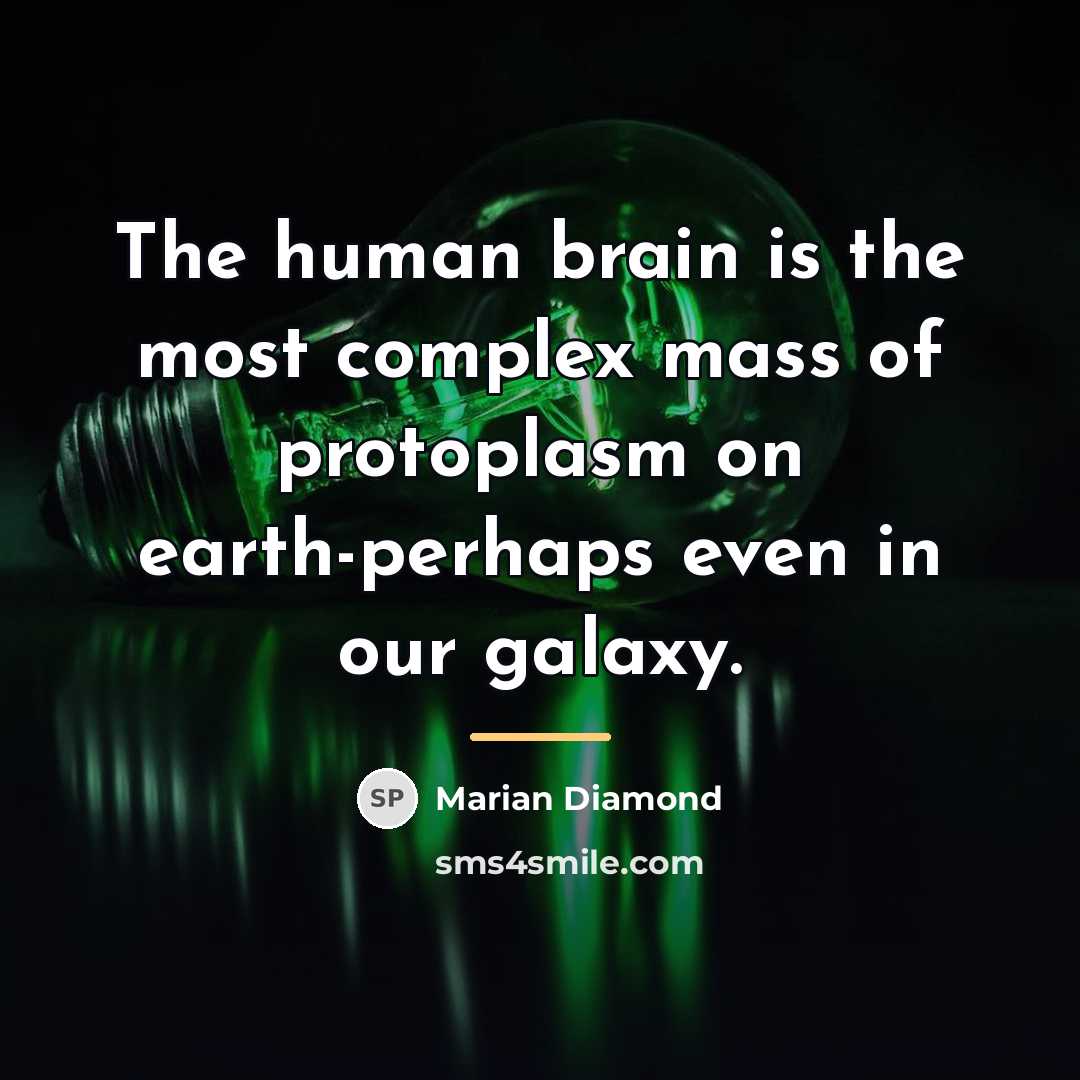 “The human brain is the most complex mass of protoplasm…” quote by Marian Diamond