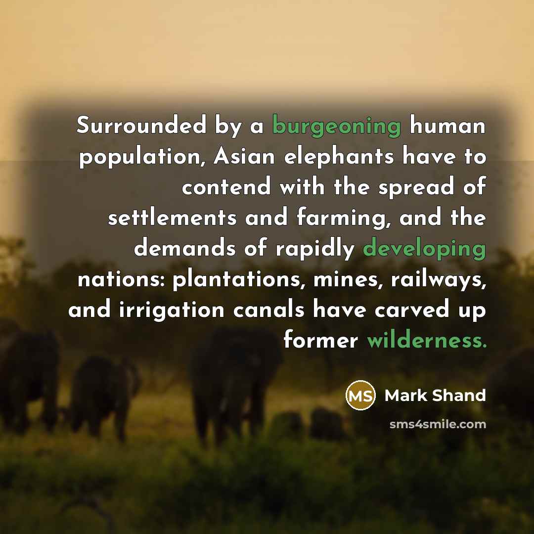“Surrounded by a burgeoning human population, Asian elephants have to contend with the spread of settlements and farming, and the demands of rapidly developing nations: plantations, mines, railways, and irrigation canals have carved up former wilderness.” quote by Mark Shand