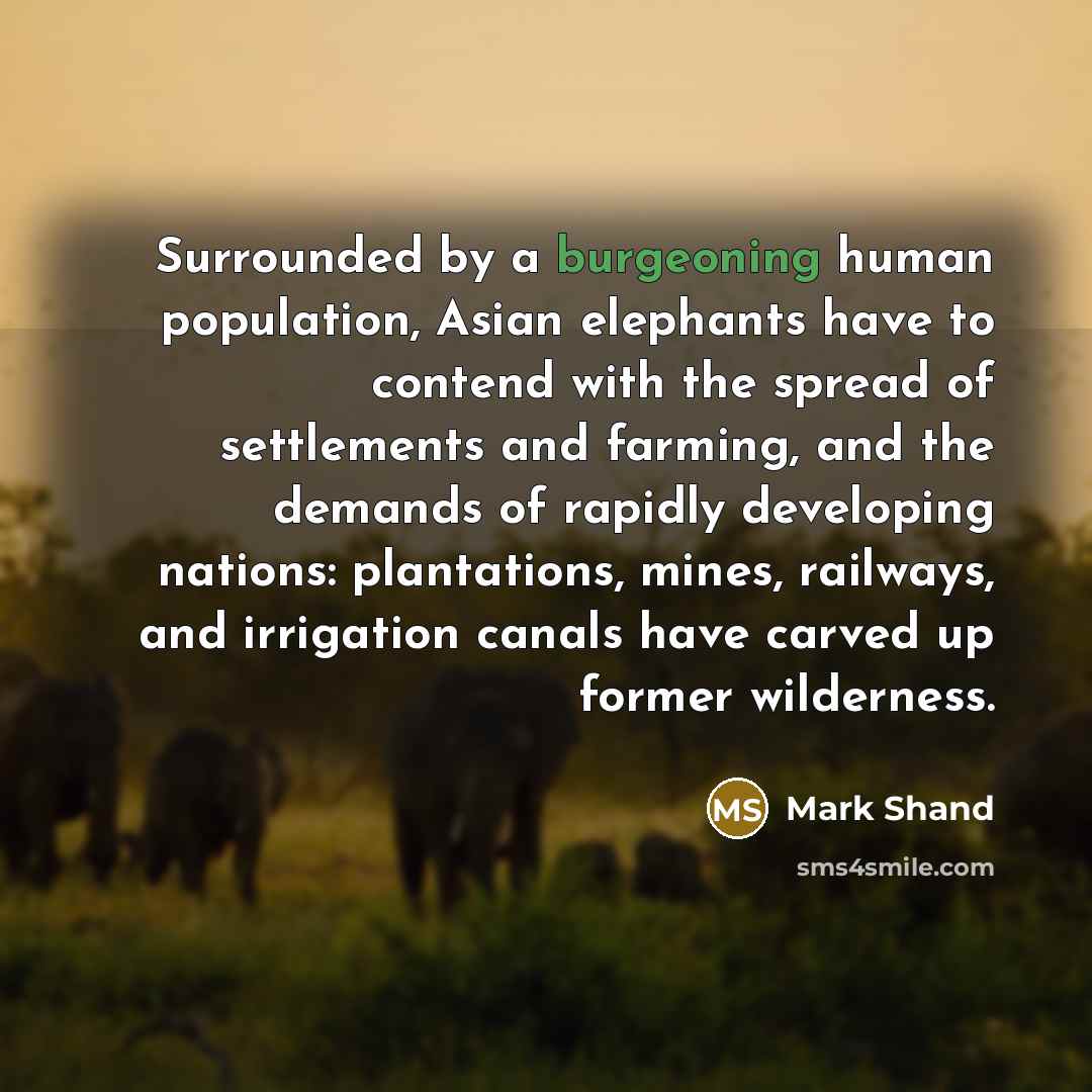 “Surrounded by a burgeoning human population, Asian elephants have to…” quote by Mark Shand