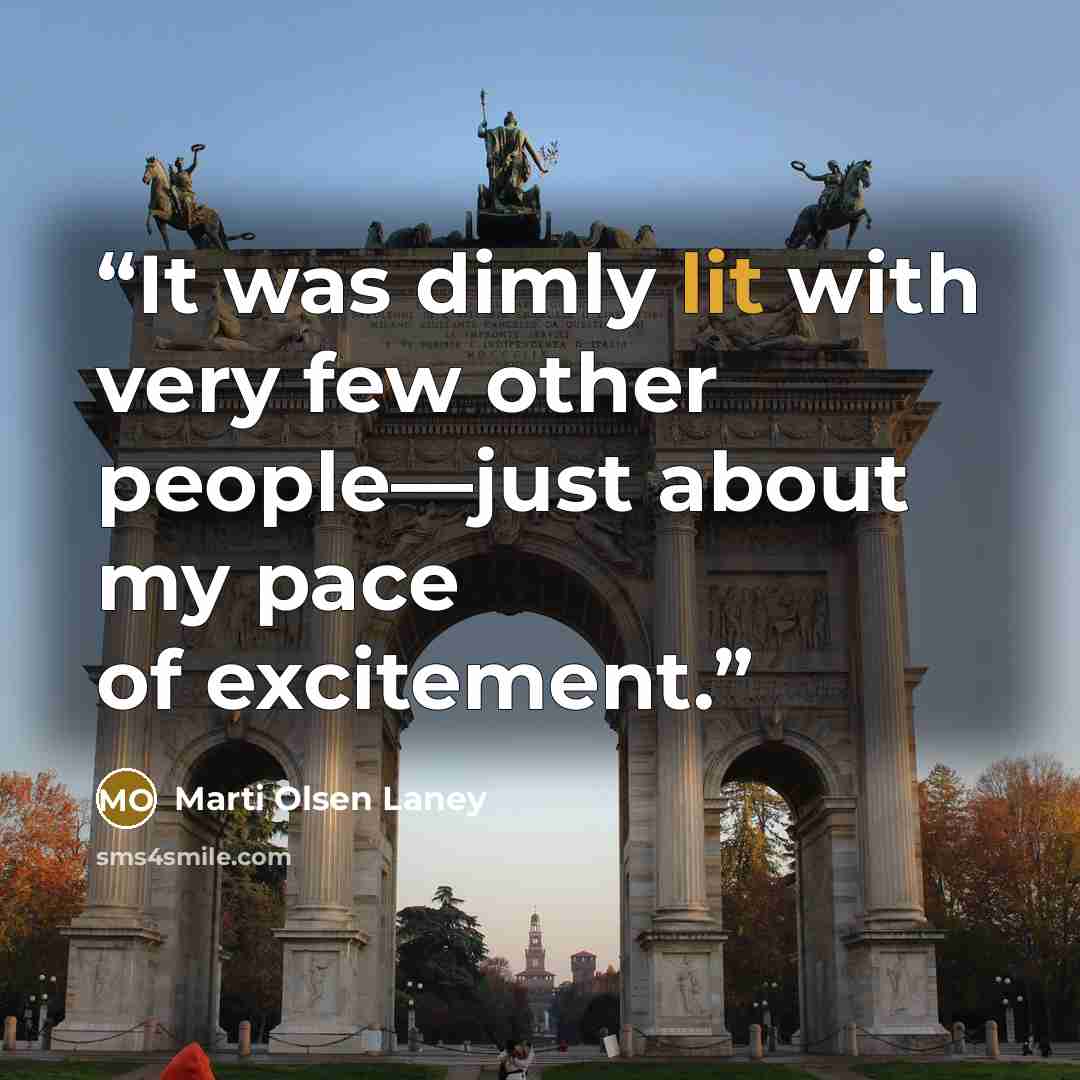 “It was dimly lit with very few other people—just about my pace of excitement.” quote by Marti Olsen Laney